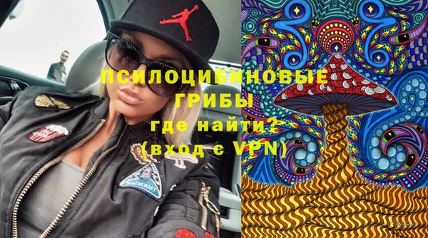метамфетамин Алексеевка