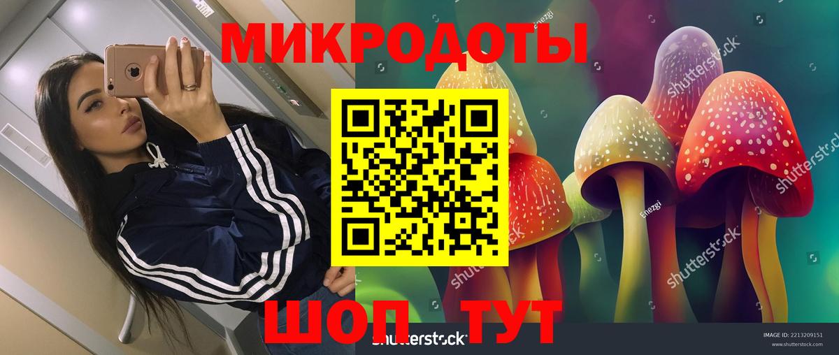 Галлюциногенные грибы прущие грибы  Вход с VPN  Похвистнево  сколько стоит  Псилоцибиновые грибы Psilocybe 